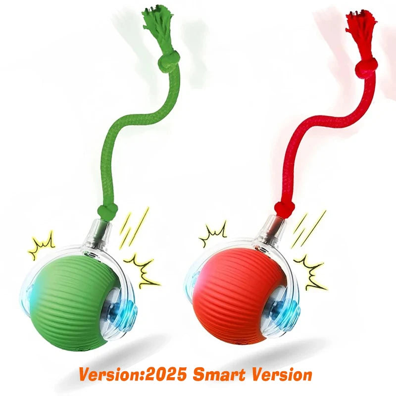 Nova bola interativa para gatos