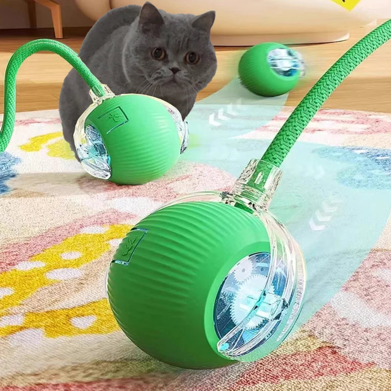 Nova bola interativa para gatos