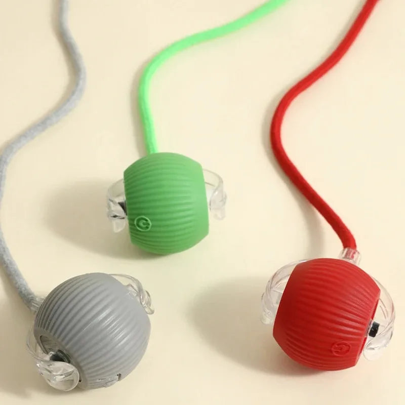 Nova bola interativa para gatos