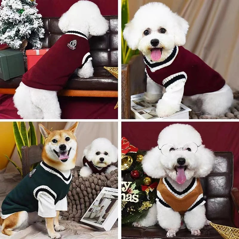 Pawllege Premium Tricô