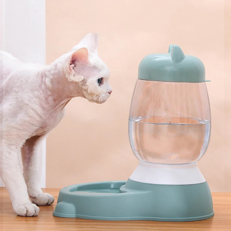 bebedouro automático para gatos