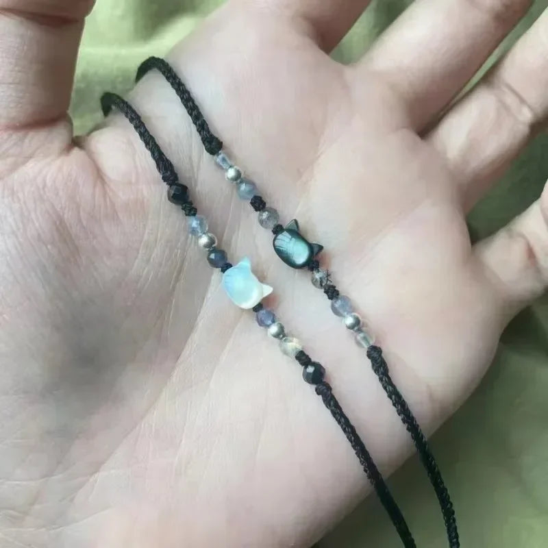 Conjunto Harmonia Pet